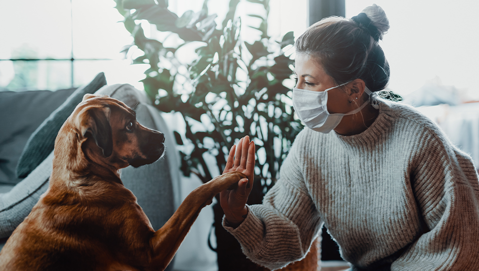Ask Dr. Jenn: Can pets catch covid-19 from their humans?